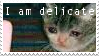 I am delicate, and a picture of a tearful kitten
